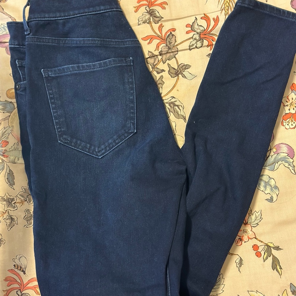 Express Midnight Blue Denim Pants